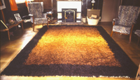 Large pile rug 12' x 9'