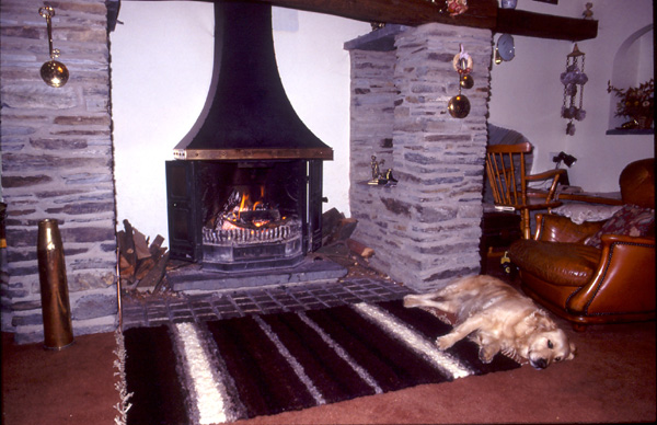 large fleece rug with dog