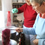 Cochineal being used on a dyeing course